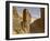 Entrance to the tomb of Seti I-English Photographer-Framed Giclee Print