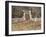 Entrance to the Voyer-D'Argenson Park at Asnieres-Vincent van Gogh-Framed Giclee Print