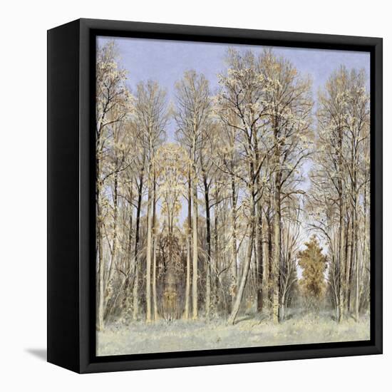 Entrance to the Woods-Christy McKee-Framed Stretched Canvas