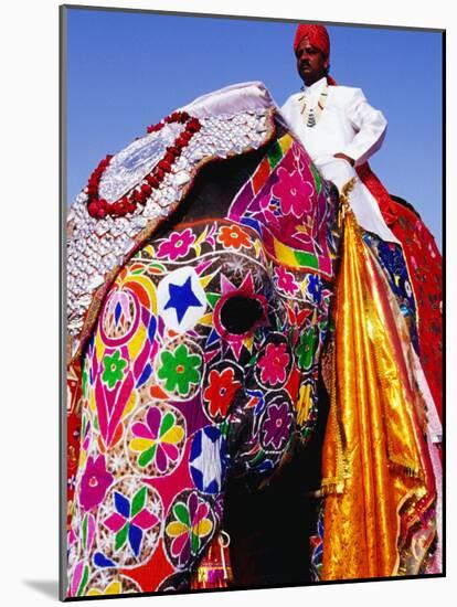 Entrant in Best Dressed Elephant Competition at Annual Elephant Festival, Jaipur, India-Paul Beinssen-Mounted Photographic Print