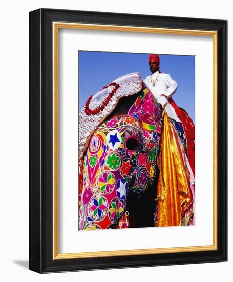 Entrant in Best Dressed Elephant Competition at Annual Elephant Festival, Jaipur, India-Paul Beinssen-Framed Photographic Print