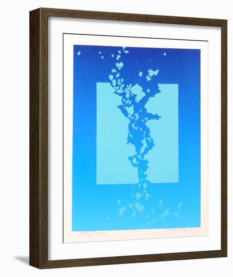 Entropy Realized-Dave Kelly-Framed Limited Edition