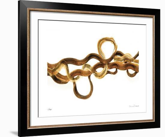 Entwined No 2-Shams Rasheed-Framed Giclee Print