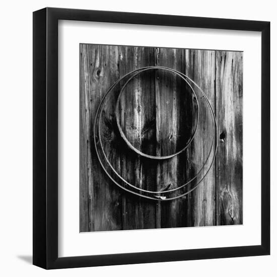 Entwined Timber-Laura Warren-Framed Giclee Print