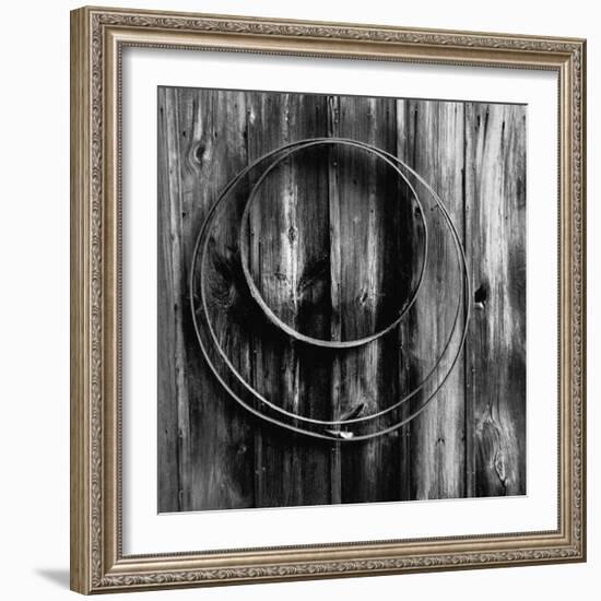 Entwined Timber-Laura Warren-Framed Giclee Print
