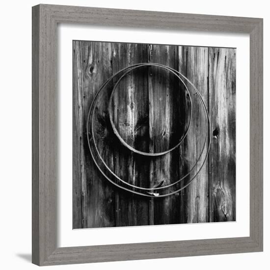 Entwined Timber-Laura Warren-Framed Giclee Print