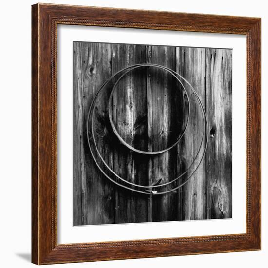 Entwined Timber-Laura Warren-Framed Giclee Print