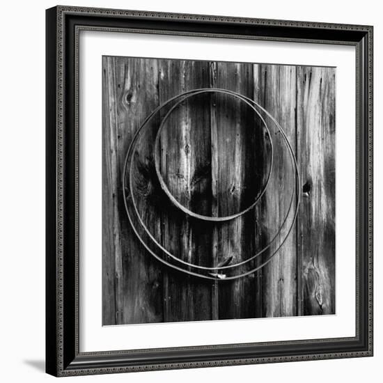 Entwined Timber-Laura Warren-Framed Giclee Print