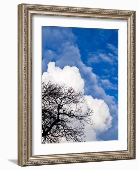 Enveloped-Doug Chinnery-Framed Photographic Print