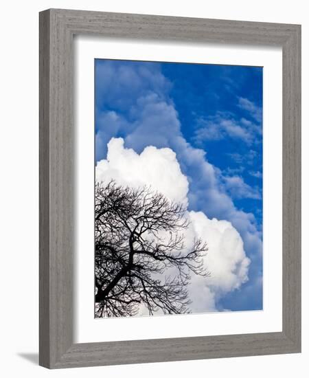 Enveloped-Doug Chinnery-Framed Photographic Print