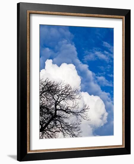 Enveloped-Doug Chinnery-Framed Photographic Print