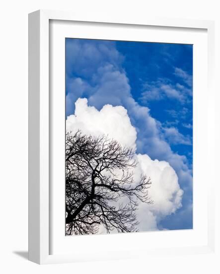 Enveloped-Doug Chinnery-Framed Photographic Print