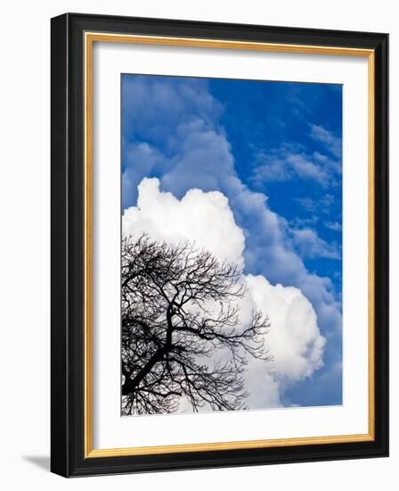 Enveloped-Doug Chinnery-Framed Photographic Print