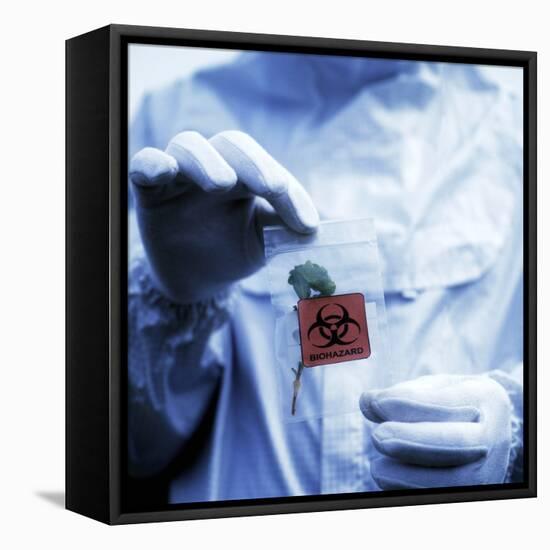 Environmental Contamination-Cristina-Framed Premier Image Canvas