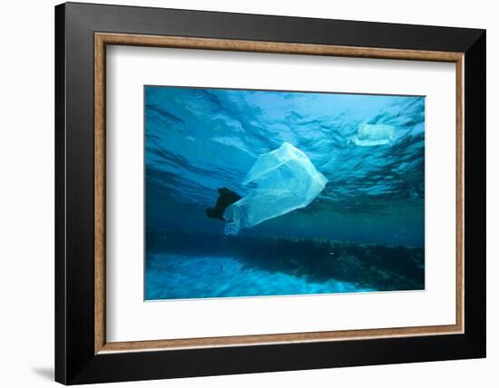 Environmental Problem - Plastic Bags Dumped on a Coral Reef in the Red Sea, Egypt-Rich Carey-Framed Photographic Print