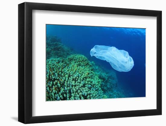 Environmental Problem - Plastic Trash on a Coral Reef. (I Cleared up This and Other Rubbish from Th-Rich Carey-Framed Photographic Print