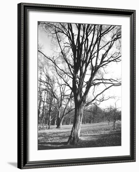 Environs of Paris-Eugene Atget-Framed Giclee Print