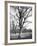 Environs of Paris-Eugene Atget-Framed Giclee Print