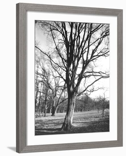 Environs of Paris-Eugene Atget-Framed Giclee Print