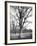 Environs of Paris-Eugene Atget-Framed Giclee Print