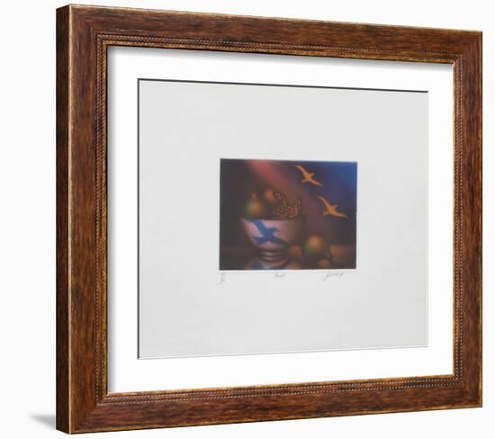 Envol-Laurent Schkolnyk-Framed Limited Edition