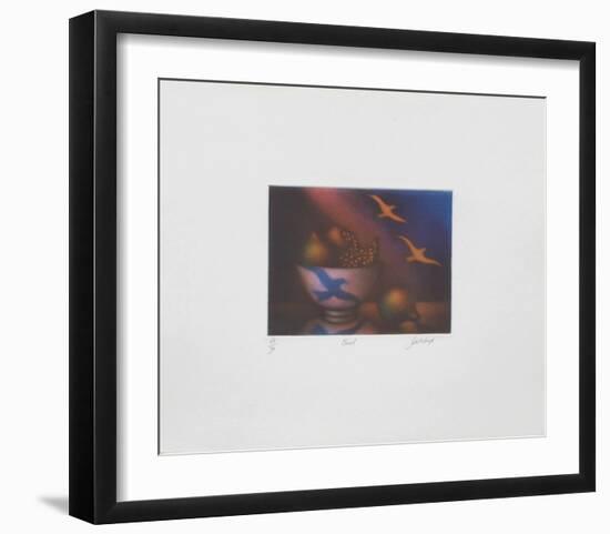 Envol-Laurent Schkolnyk-Framed Limited Edition