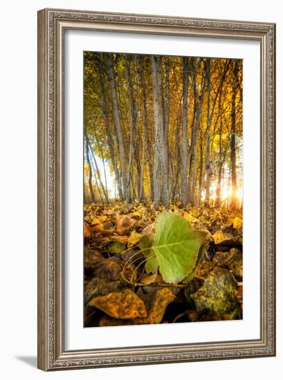 Envy-Bob Larson-Framed Art Print