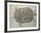 Eocene Echmatemys Fossil Turtle-Kevin Schafer-Framed Photographic Print