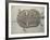 Eocene Echmatemys Fossil Turtle-Kevin Schafer-Framed Photographic Print