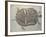 Eocene Echmatemys Fossil Turtle-Kevin Schafer-Framed Photographic Print