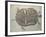 Eocene Echmatemys Fossil Turtle-Kevin Schafer-Framed Photographic Print