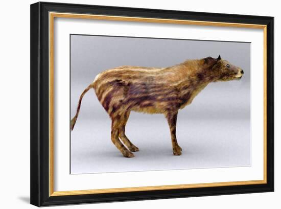 Eohippus-Christian Darkin-Framed Photographic Print