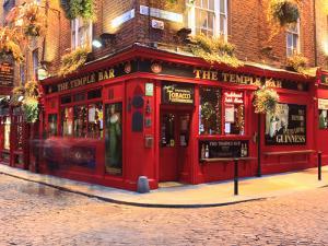 The Temple Bar Pub in Temple Bar Area by Eoin Clarke