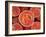 Eosinophil White Blood Cells, Artwork-David Mack-Framed Photographic Print