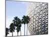 Epcot Center, Disney World, Orlando, Florida, USA-Angelo Cavalli-Mounted Photographic Print