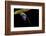 Ephemera Danica (Mayfly)-Paul Starosta-Framed Photographic Print