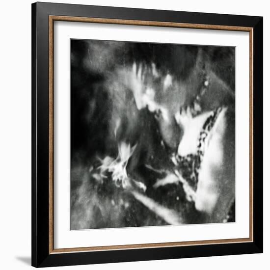 Ephemera-Gideon Ansell-Framed Photographic Print