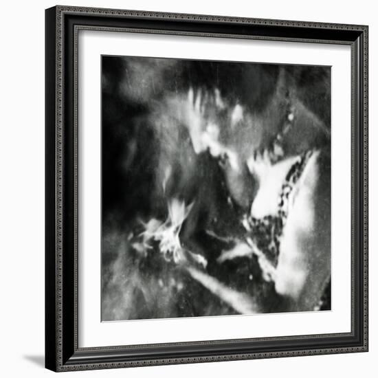 Ephemera-Gideon Ansell-Framed Photographic Print