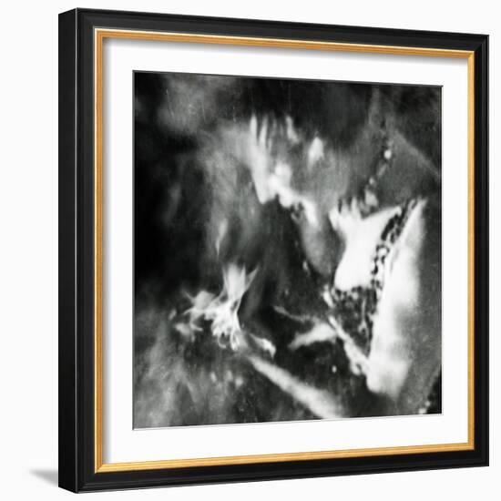 Ephemera-Gideon Ansell-Framed Photographic Print