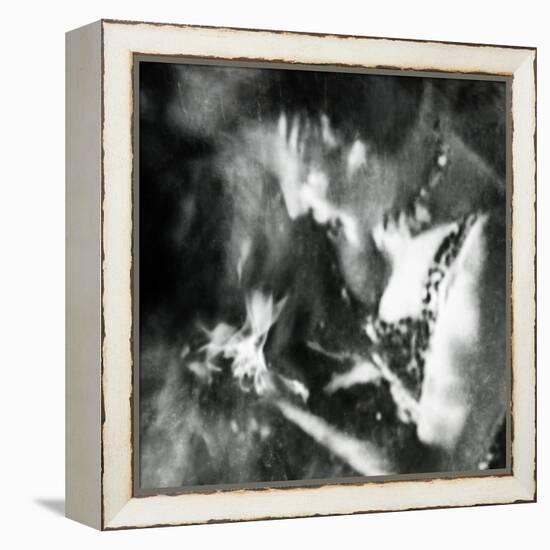 Ephemera-Gideon Ansell-Framed Premier Image Canvas