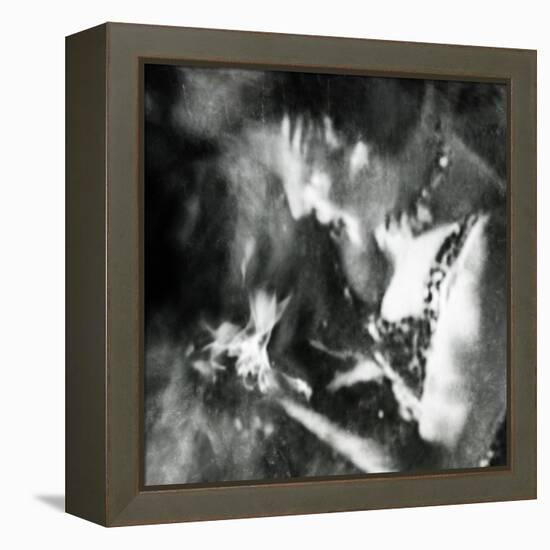 Ephemera-Gideon Ansell-Framed Premier Image Canvas