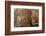 Ephemeral Beauty-10-Moises Levy-Framed Photographic Print