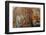 Ephemeral Beauty-10-Moises Levy-Framed Photographic Print