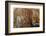 Ephemeral Beauty-10-Moises Levy-Framed Photographic Print