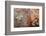 Ephemeral Beauty-11-Moises Levy-Framed Photographic Print