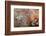 Ephemeral Beauty-11-Moises Levy-Framed Photographic Print