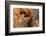 Ephemeral Beauty-12-Moises Levy-Framed Photographic Print