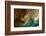 Ephemeral Beauty-13-Moises Levy-Framed Photographic Print