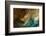 Ephemeral Beauty-13-Moises Levy-Framed Photographic Print