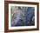 Ephemeral Beauty-1-Moises Levy-Framed Photographic Print